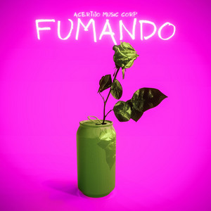 fumando by Acertijo Music Corp Album Cover