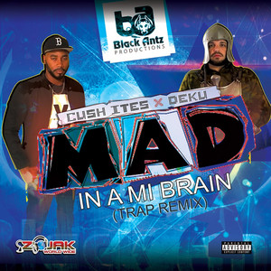 Mad In A Mi Brain (feat. Deku) by Cush Ites, Deku