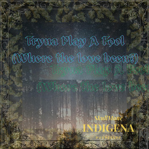 Tryna Play A Fool (Where the love been?) by Indigena, SKULLMANE