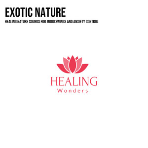 Mystical Guide & Liquid Ambiance - Balanced Mind