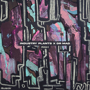 RAH by INDUSTRY PLANTS, DR MAD
