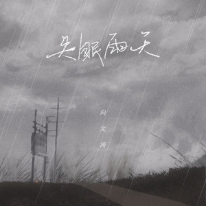 失眠雨天 by 向文涛