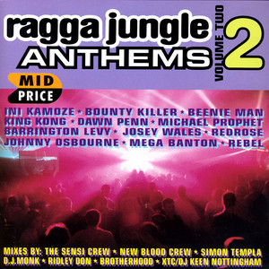Ragga Jungle Anthems Vol. 2 - Compilation by Various Artists | Spotify