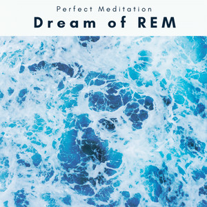 A Dream of REM album