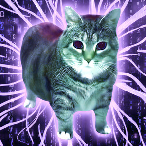 DaisyOIIA - MEMORY REBOOT (OIIA OIIA Spinning CAT) [Sped Up] (feat. XertXetin) [XertXetin Remix]