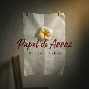 Bailes de papel en el viento by Rincón tibio, Ana Perez