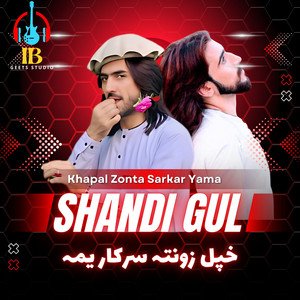 Shandi Gul - Sare Starge Nesha Garze