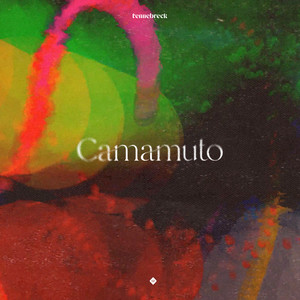 Camamuto - Radio by Tennebreck