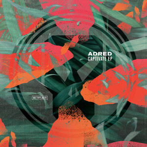 Captivate - Marcus Intalex Remix by Adred, Robert Manos, Marcus Intalex