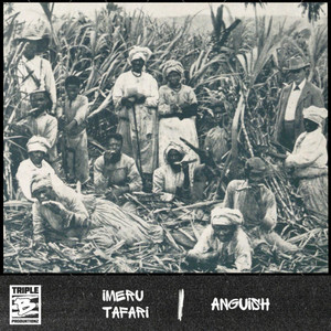 Veggies & Fruits Riddim by Imeru Tafari, Triple B Produktionz