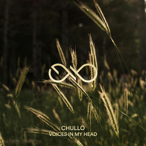 Voices In My Head by Chullo