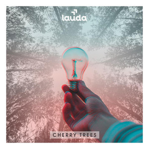 Cherry Trees by Lauda