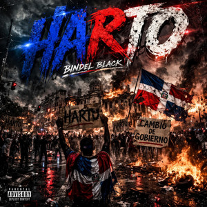Harto by Bindel Black