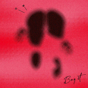 Portada de Bag It