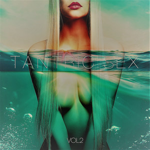 Tantric Sex Vol.2– Art of Love, Sensual Seduction, Conscious ...