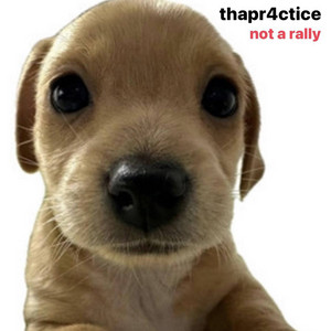 thapr4ctice. - Not a Rally