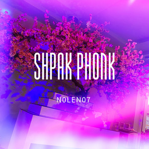 Обкладинка: Shpak Phonk