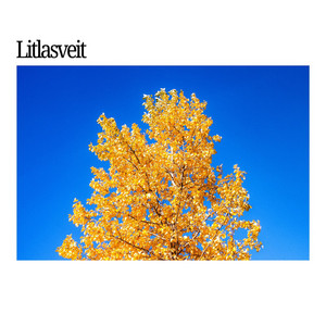 Appelsín by Litlasveit