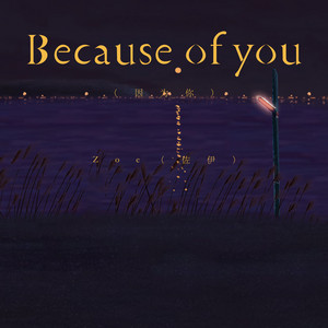 Because of you（因为你） by Zoe（佐伊）