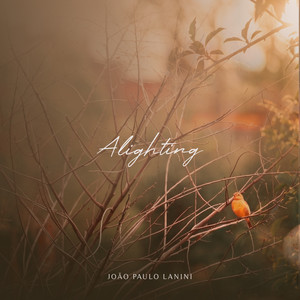 Alighting by João Paulo Lanini