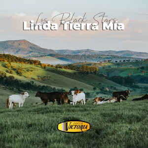 En Agosto by Los Black Stars