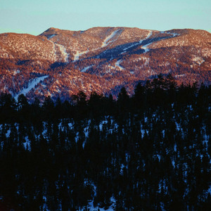 Goated - Mary (Guitar Version)