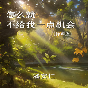 怎么就不给我一点机会 - 降调版 by 潘安仁