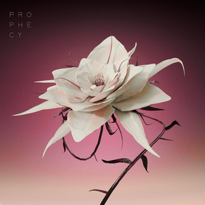 Prophecy by Cartoon Theory, Morgan Thomaso, RO1