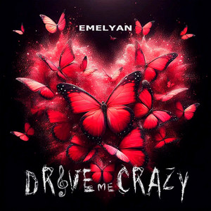 Drive Me Crazy