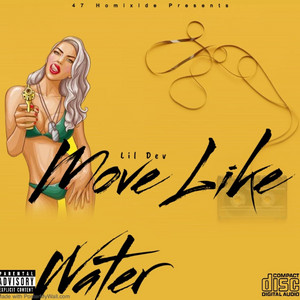 lil dev - Move Like Water