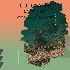 zZz Cultivated Soothing Ocean Ambiance zZz album