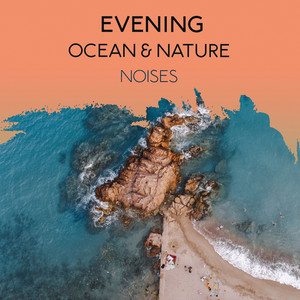 zZz Evening Ocean & Nature Noises zZz album