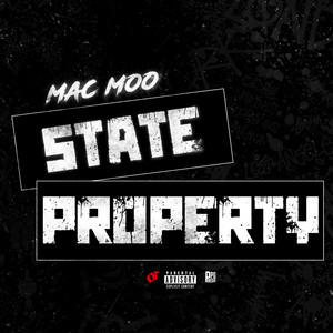 State Property by Mac Moo