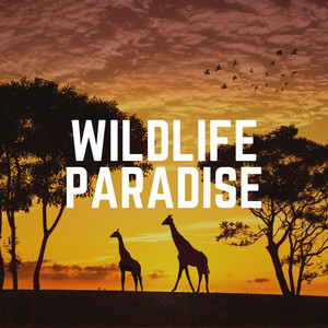 Wildlife Paradise album