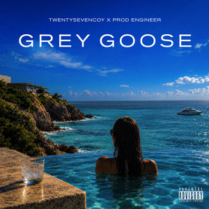 Grey Goose by TWENTYSEVENCOY, prod engineer, YoungBrazilianMoney