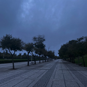 quilted memories by away from