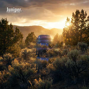 Juniper by Lonely Ambition