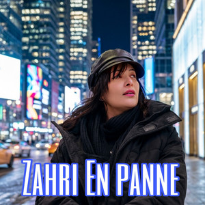 Zahri En Panne