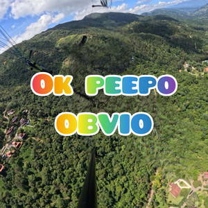 Obvio by Ok Peepo