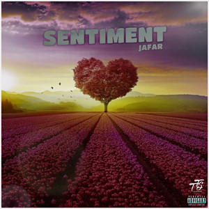 Portada de Sentiment