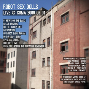 Scratch (Live) - song and lyrics by Robot Sex Dolls | Spotify