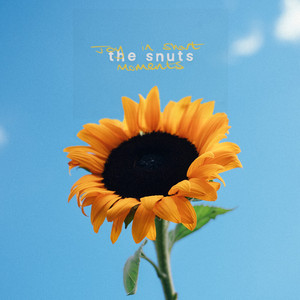 Cover artwork for Joy In Short Moments by The Snuts