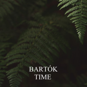 Bartók - Time album