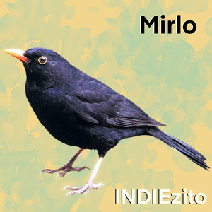Mirlo by INDIEzito