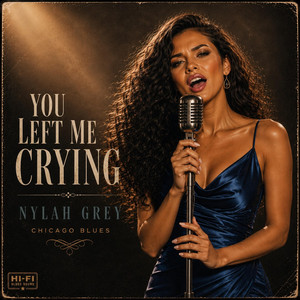 You Left Me Crying by Nylah Grey