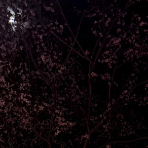 VOLDE - Flip The Pages