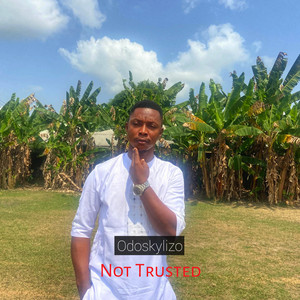 Not Trusted by Odoskylizo