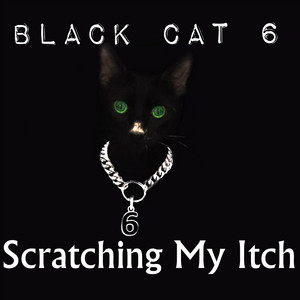 Black Cat 6 | Spotify