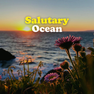 Salutary Ocean album