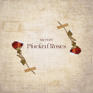 PLUCKED ROSES by MR Pope